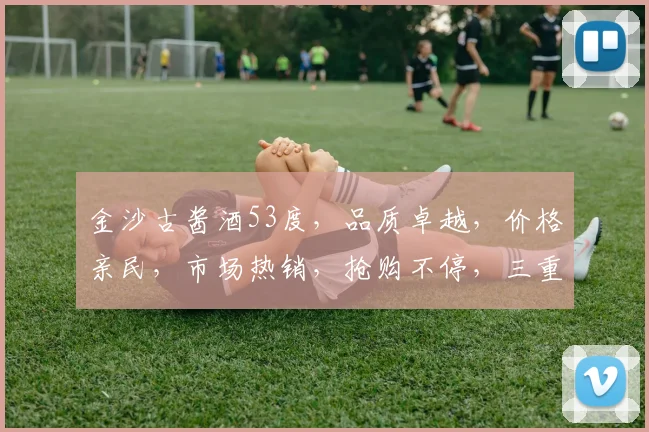 金沙古酱酒53度，品质卓越，价格亲民，市场热销，抢购不停，三重优惠，不容错过，惊喜连连，