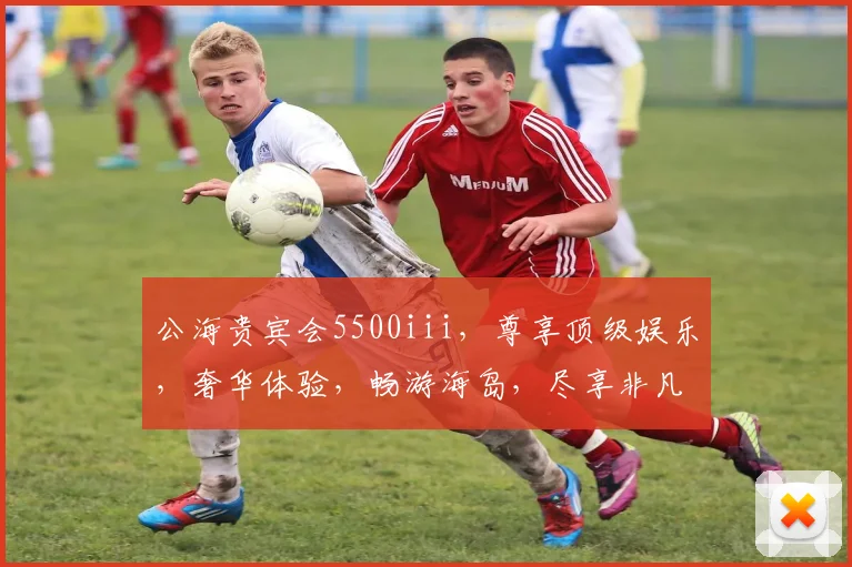 公海贵宾会5500iii，尊享顶级娱乐，奢华体验，畅游海岛，尽享非凡，一触即达