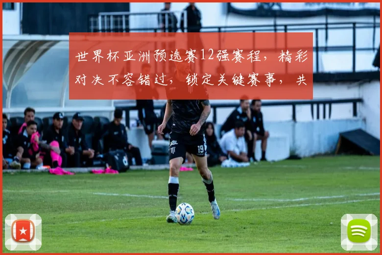 世界杯亚洲预选赛12强赛程，精彩对决不容错过，锁定关键赛事，共赴足球盛宴