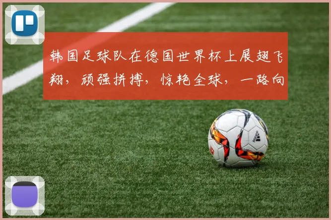 韩国足球队在德国世界杯上展翅飞翔，顽强拼搏，惊艳全球，一路向前