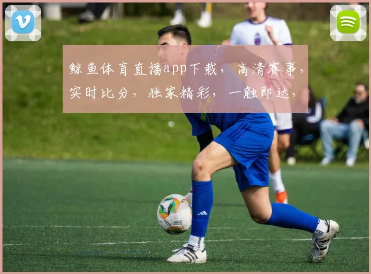鲸鱼体育直播app下载，高清赛事，实时比分，独家精彩，一触即达，畅享观赛乐趣，快来体验